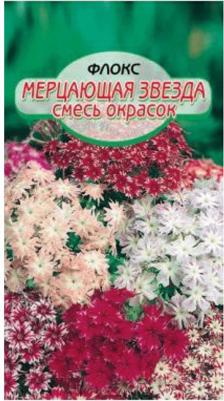 Флокс Мерцающая звезда – фото 15