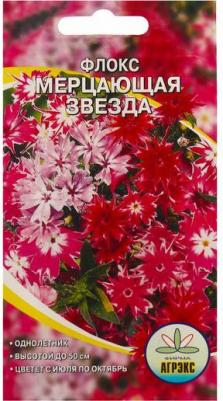 Флокс Мерцающая звезда – фото 18