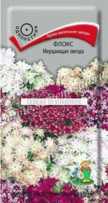 Флокс Мерцающая звезда – фото 20