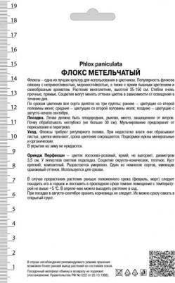 Флокс метельчатый Ориндж Перфекшн – фото 1