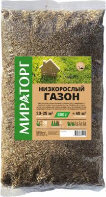 Газон Мавританский – фото 1