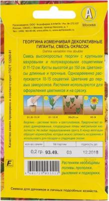 Георгина Декоративные гиганты – фото 7
