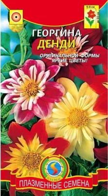 Георгина Денди – фото 9