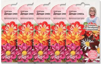 Георгина Денди – фото 16