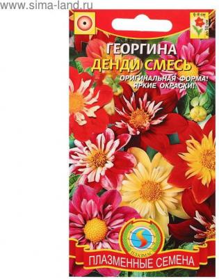 Георгина Денди – фото 19