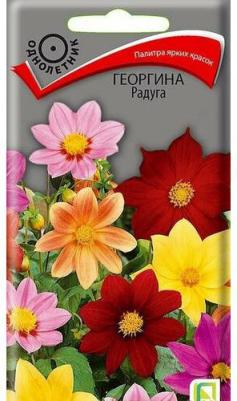 Георгина Радуга – фото 4
