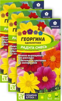 Георгина Радуга – фото 7