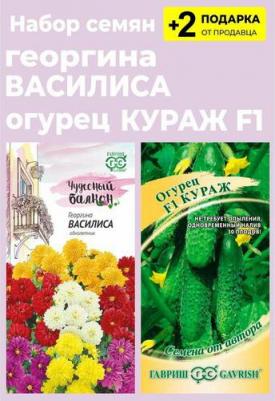 Георгина Василиса – фото 3
