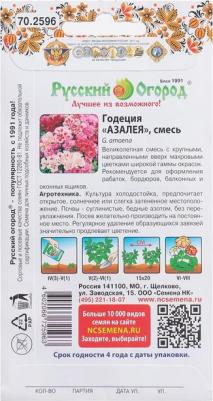 Годеция Азалия – фото 14