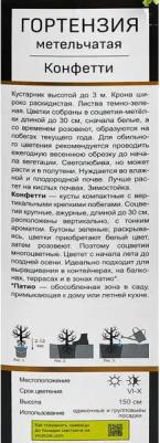 Гортензия метельчатая Конфетти – фото 16