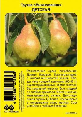 Груша Обыкновенная Детская – фото 3
