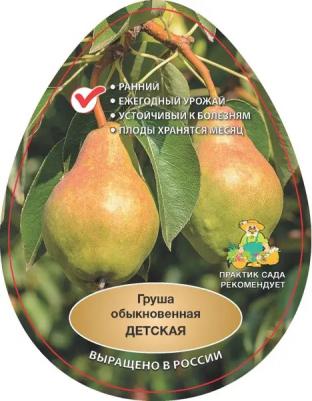 Груша Обыкновенная Детская