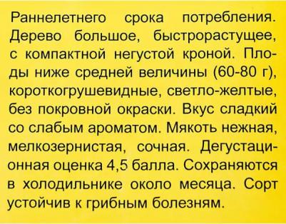 Груша Обыкновенная Детская – фото 12
