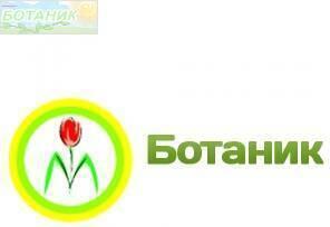 Гвоздика Индийский ковер – фото 10