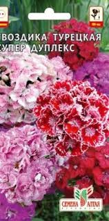 Гвоздика турецкая Супер Дуплекс – фото 7