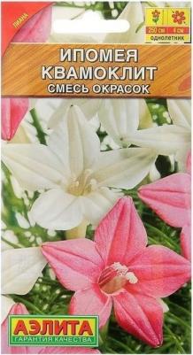 Ипомея Квамоклит – фото 14