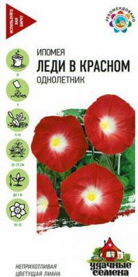 Ипомея Леди в красном – фото 6