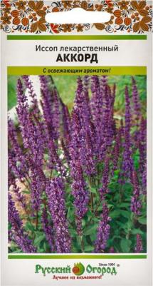 Иссоп Аккорд лекарственный – фото 10