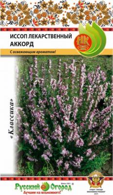 Иссоп Аккорд лекарственный – фото 11