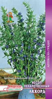 Иссоп Аккорд лекарственный – фото 13
