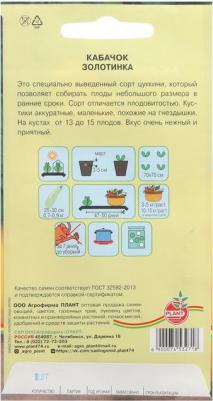 Кабачок Золотинка – фото 15