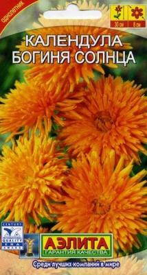 Календула Богиня солнца – фото 4