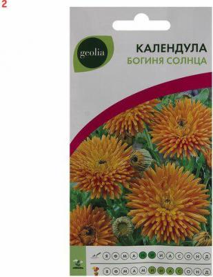 Календула Богиня солнца – фото 5