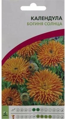 Календула Богиня солнца – фото 7