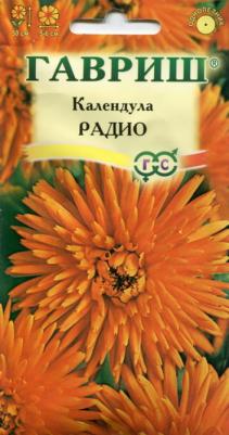 Календула Радио – фото 1