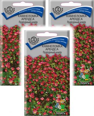 Камнеломка Арендса Пурпурный ковер – фото 3