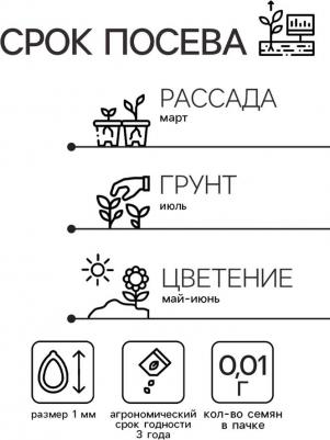 Камнеломка Арендса Пурпурный ковер – фото 5