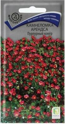 Камнеломка Арендса Пурпурный ковер – фото 11