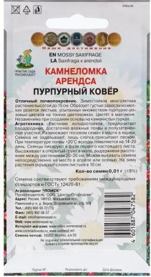 Камнеломка Арендса Пурпурный ковер – фото 14