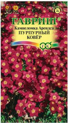 Камнеломка Арендса Пурпурный ковер – фото 16