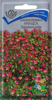 Камнеломка Арендса Пурпурный ковер – фото 18