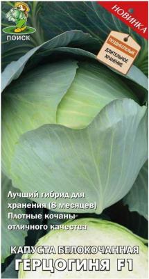 Капуста белокочанная Герцогиня – фото 4