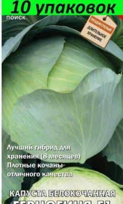 Капуста белокочанная Герцогиня