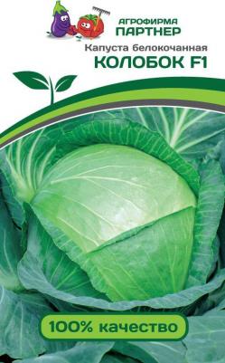 Капуста белокочанная Колобок – фото 1