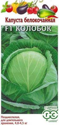Капуста белокочанная Колобок – фото 5