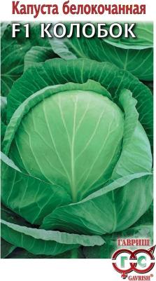Капуста белокочанная Колобок – фото 15