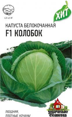 Капуста белокочанная Колобок – фото 17