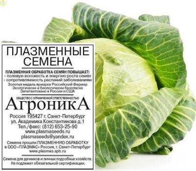 Капуста белокочанная Лосиноостровская 8 – фото 18