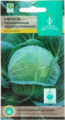 Капуста белокочанная Лосиноостровская 8 – фото 20