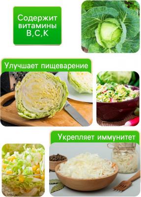 Капуста белокочанная Подарок – фото 4