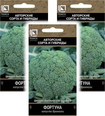 Капуста брокколи Фортуна – фото 17