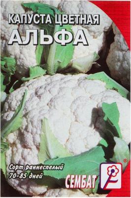 Капуста цветная Альфа – фото 6