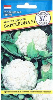 Капуста цветная Барселона – фото 6