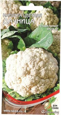 Капуста цветная Дачница – фото 5