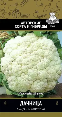 Капуста цветная Дачница – фото 7