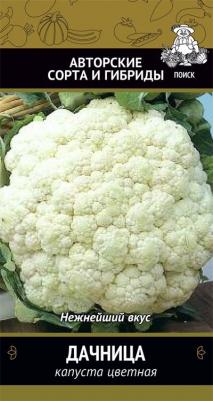 Капуста цветная Дачница – фото 11